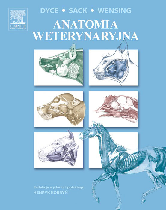 Cover Anatomia weterynaryjna