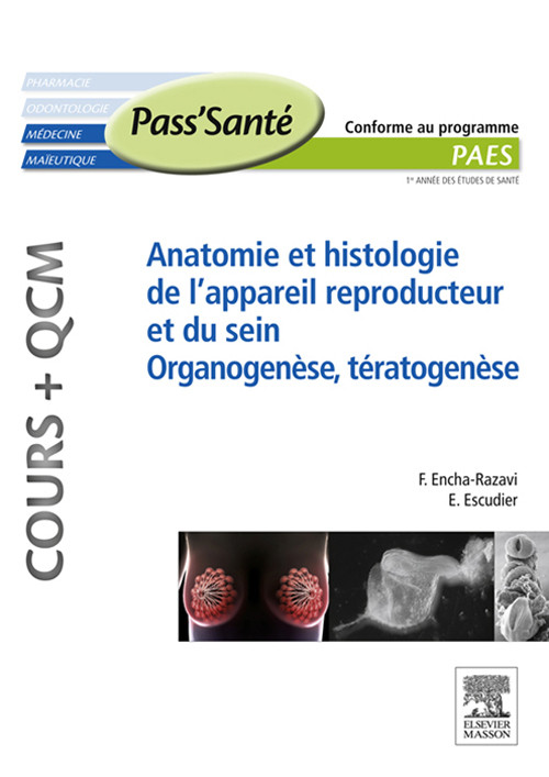 Anatomie et histologie de l'appareil reproducteur et du sein - Organogenèse, Tératogenèse (Cours + QCM)