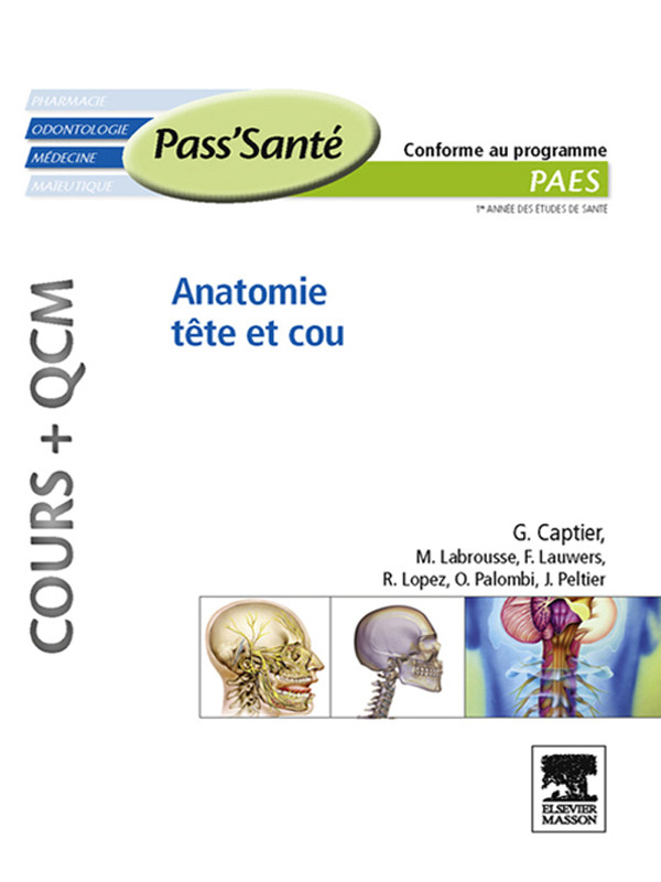 Anatomie tête et cou (Cours + QCM)