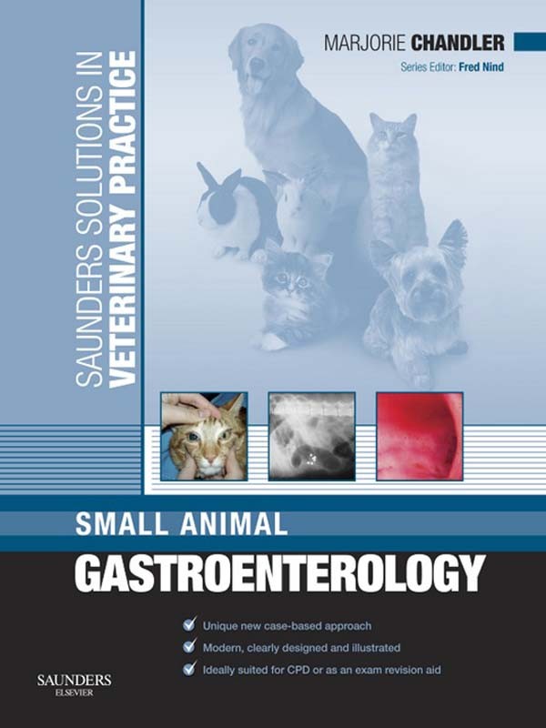 Cover Solutions Veternary Practice: Small Animal Gastroentrology