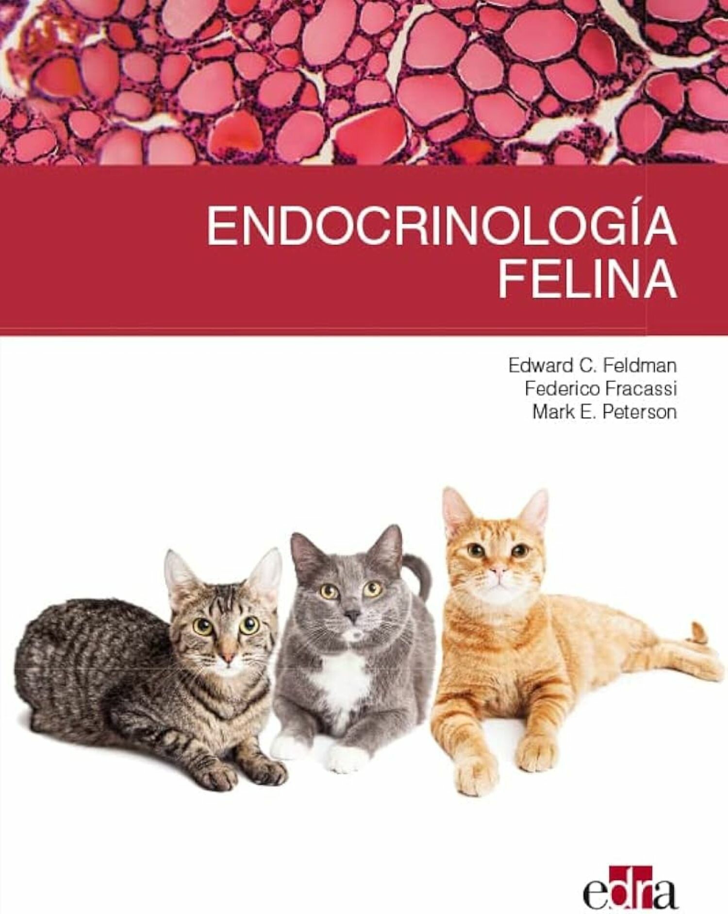Cover Endocrinología felina