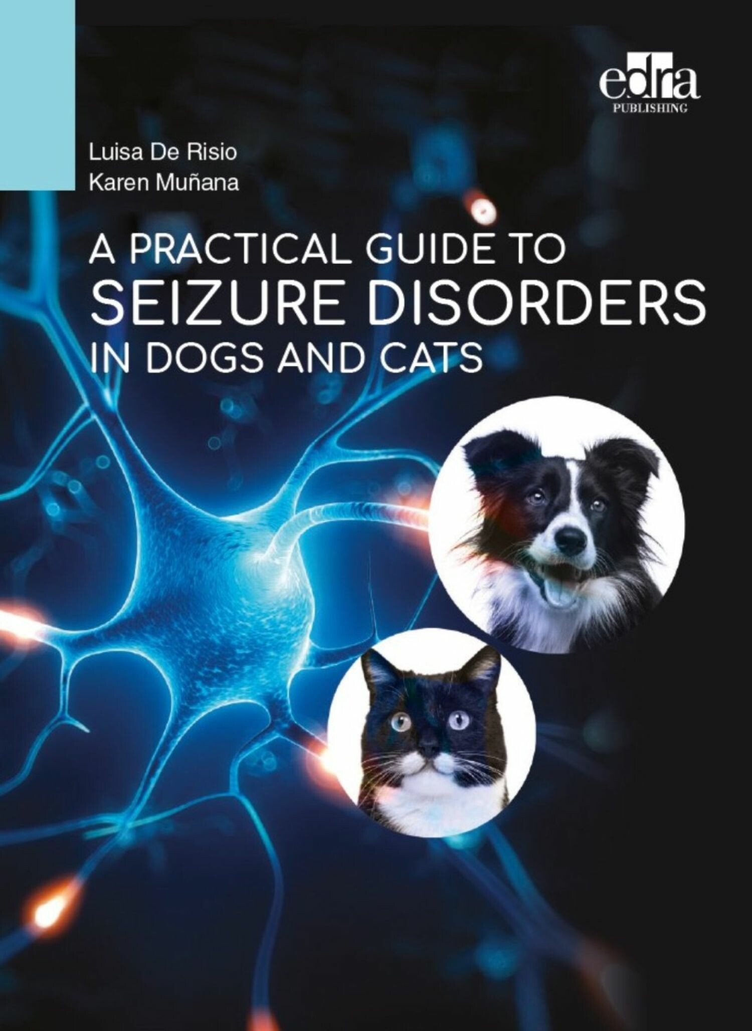 A practical guide to seizure disorders in dogs and cats