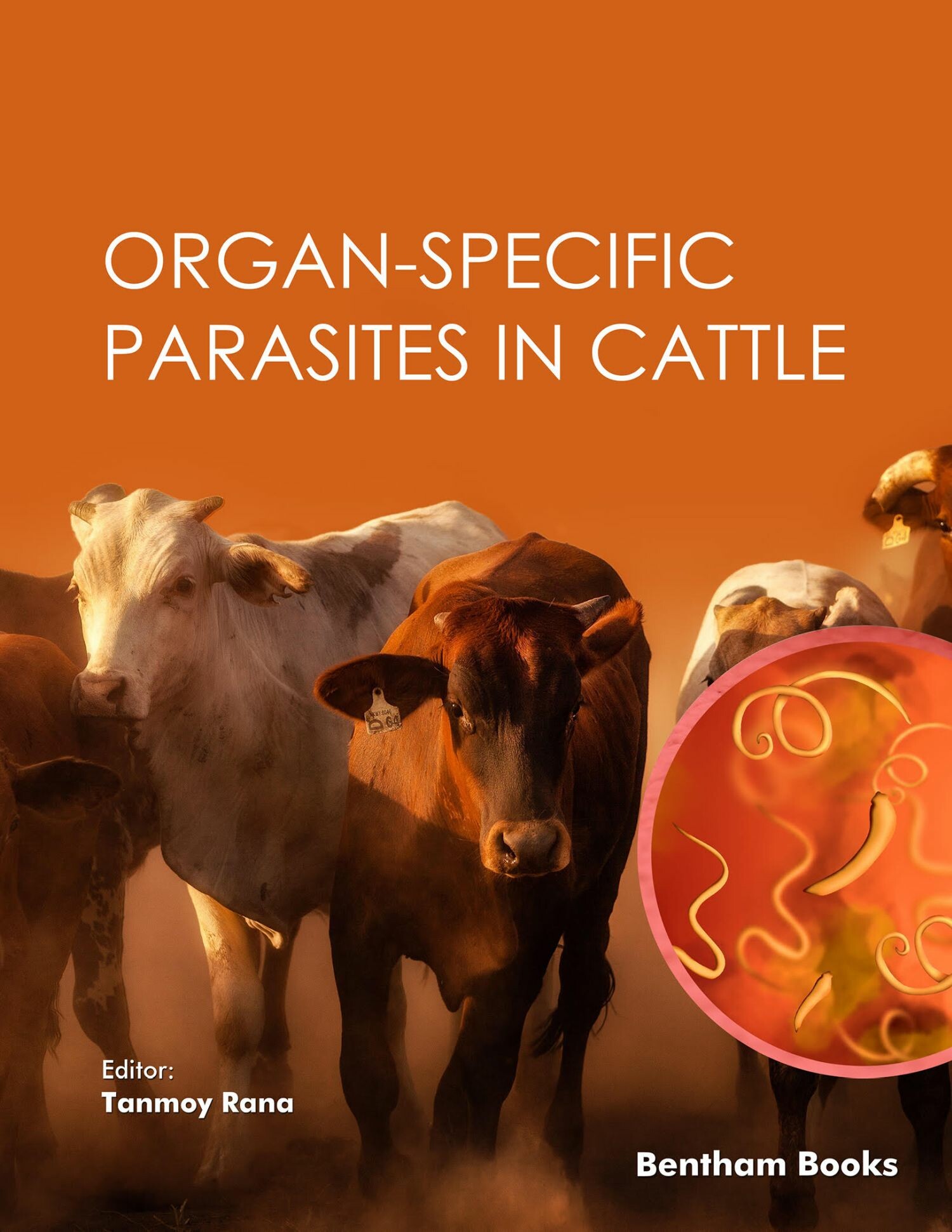 Cover Organ-specific Parasites in Cattle