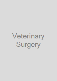 Cover Veterinary Surgery