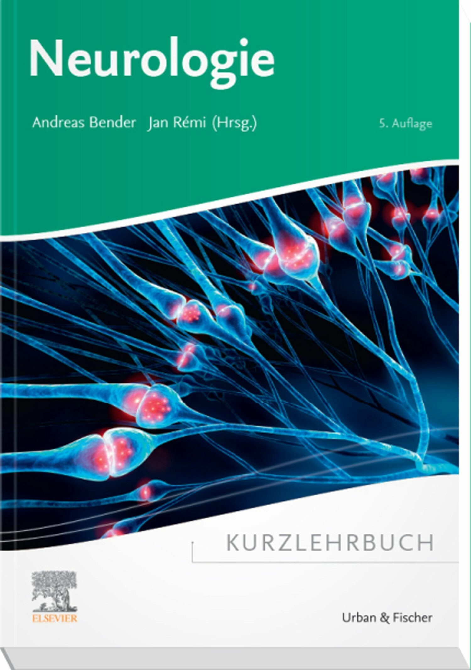 Cover Kurzlehrbuch Neurologie