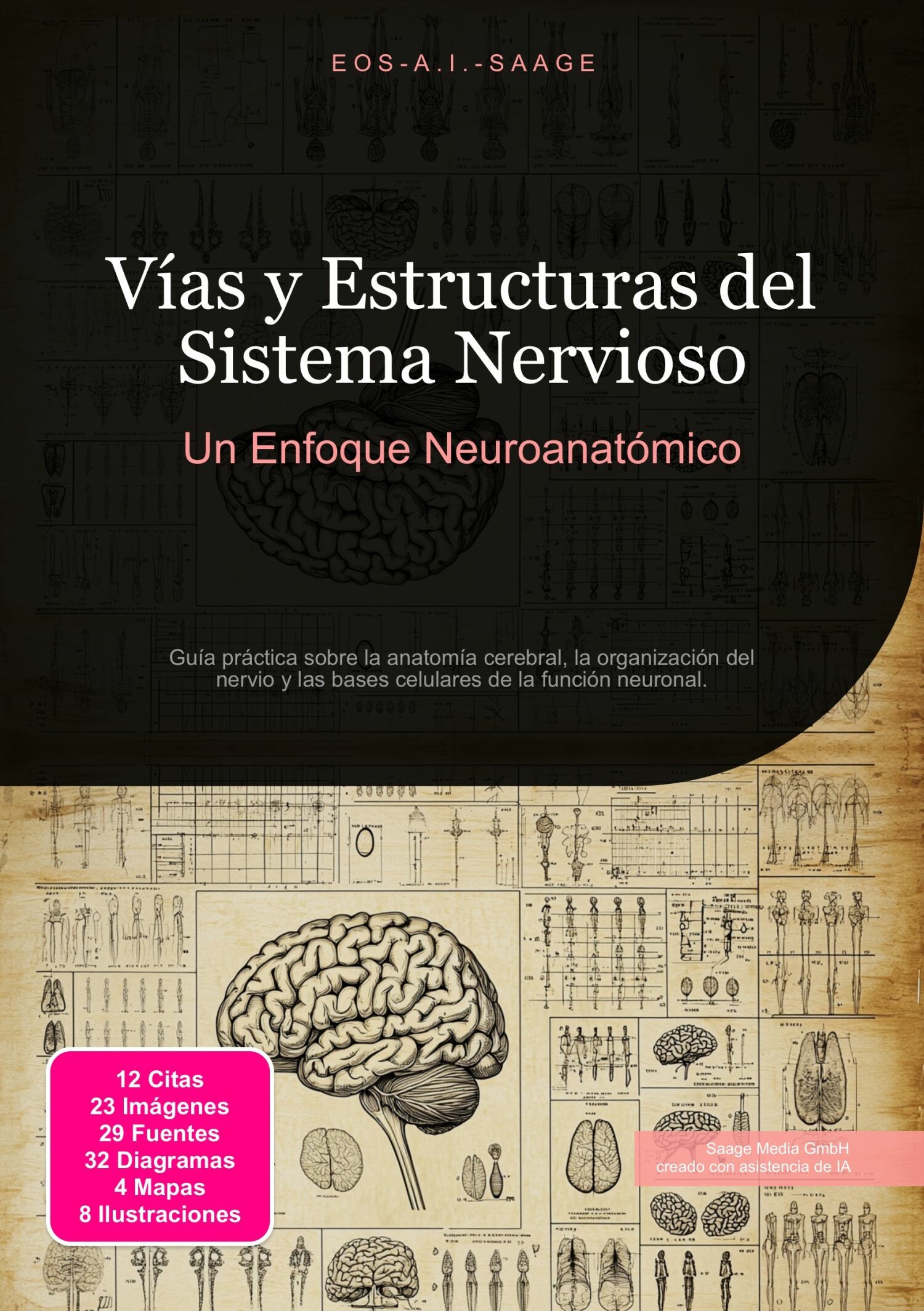 Cover Vías y Estructuras del Sistema Nervioso