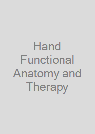 Hand Functional Anatomy and Therapy