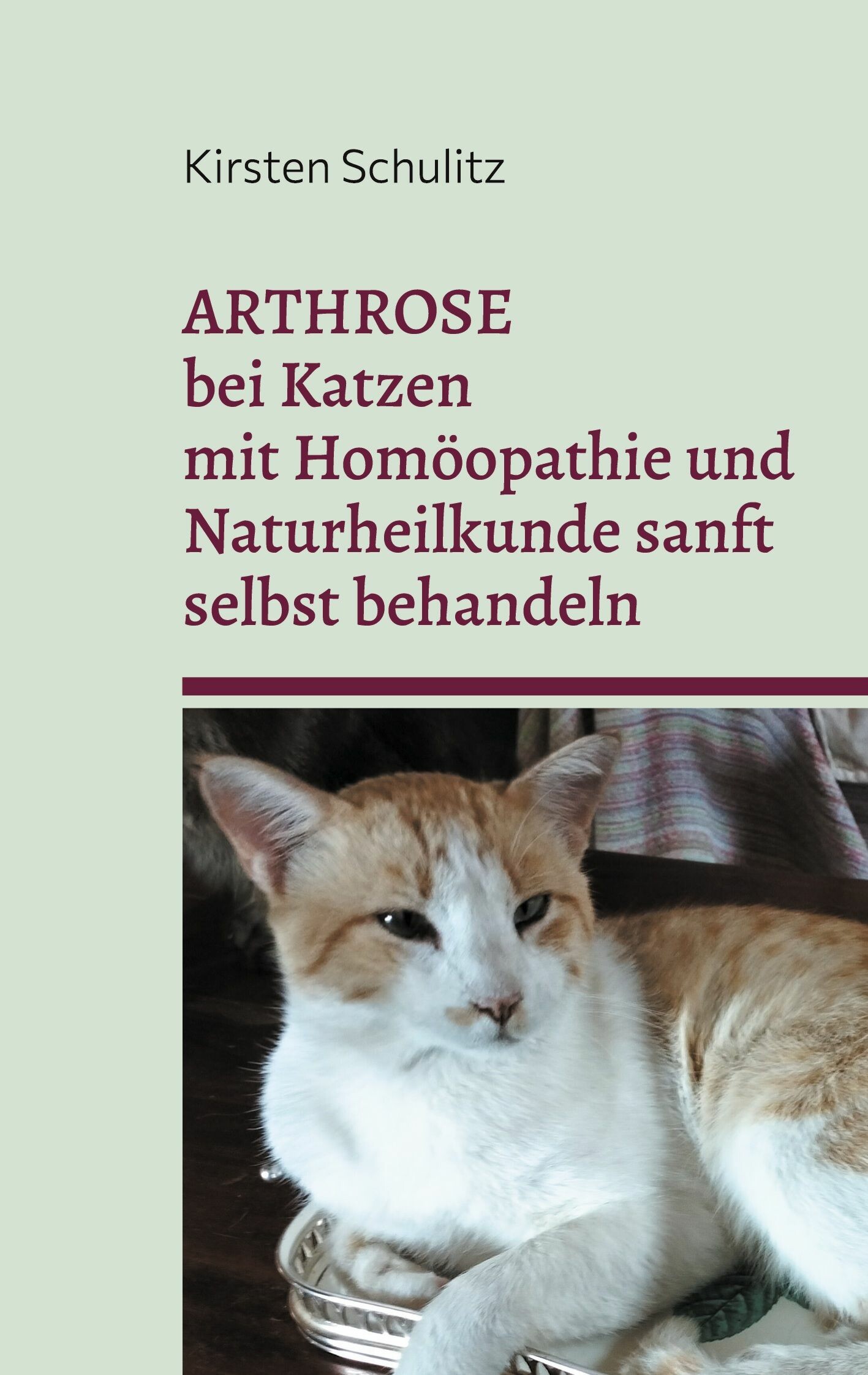 Cover Arthrose bei Katzen mit Homöopathie und Naturheilkunde sanft selbst behandeln