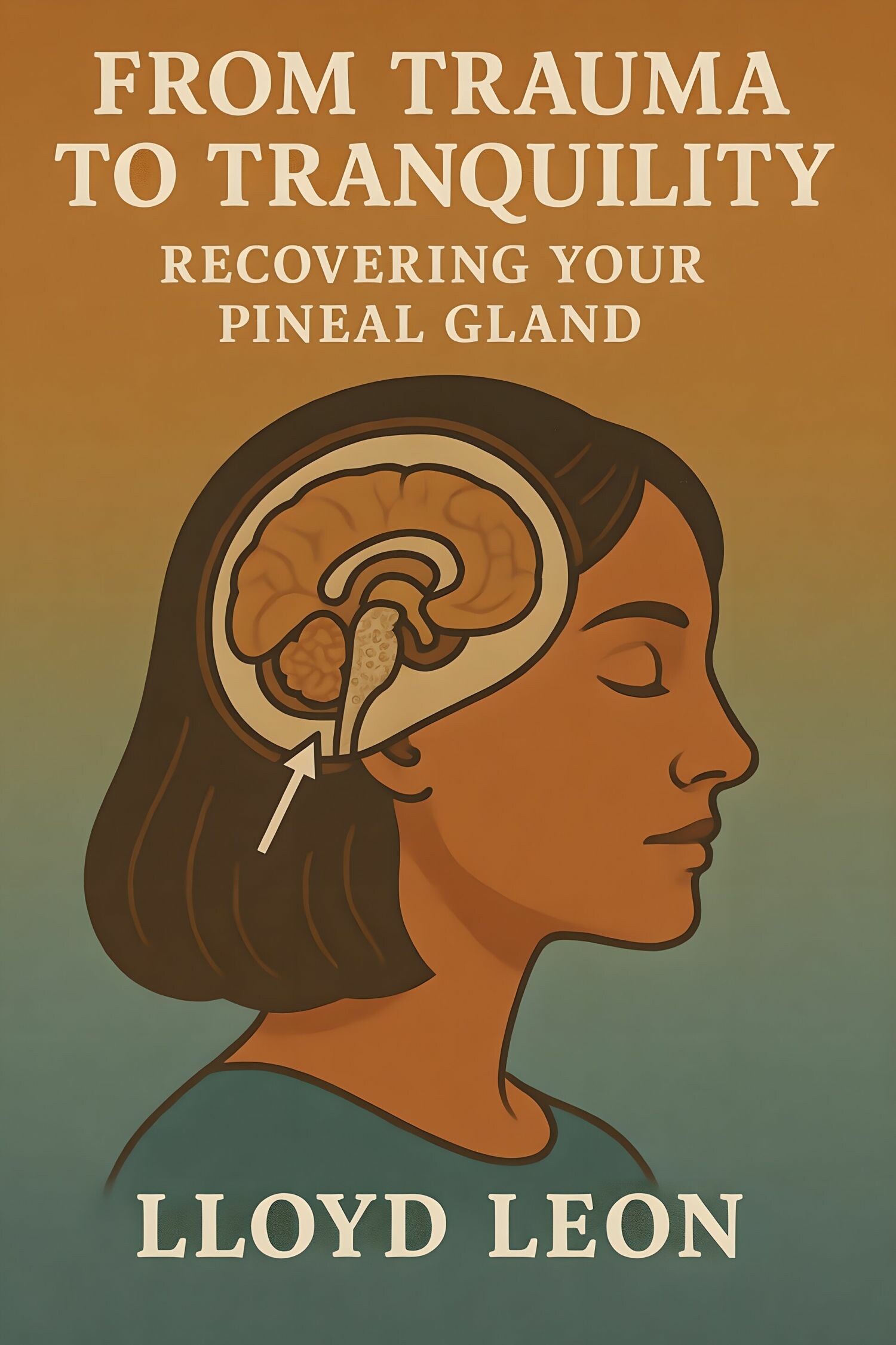 Cover From Trauma to Tranquility