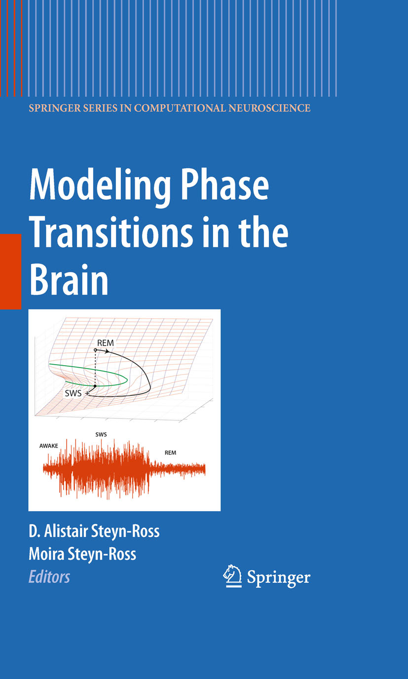 Modeling Phase Transitions in the Brain