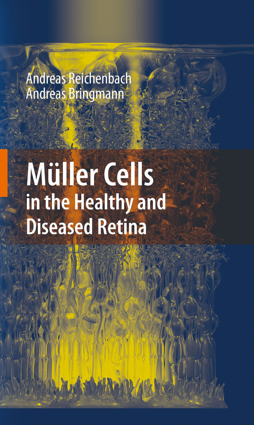 Cover Müller Cells in the Healthy and Diseased Retina