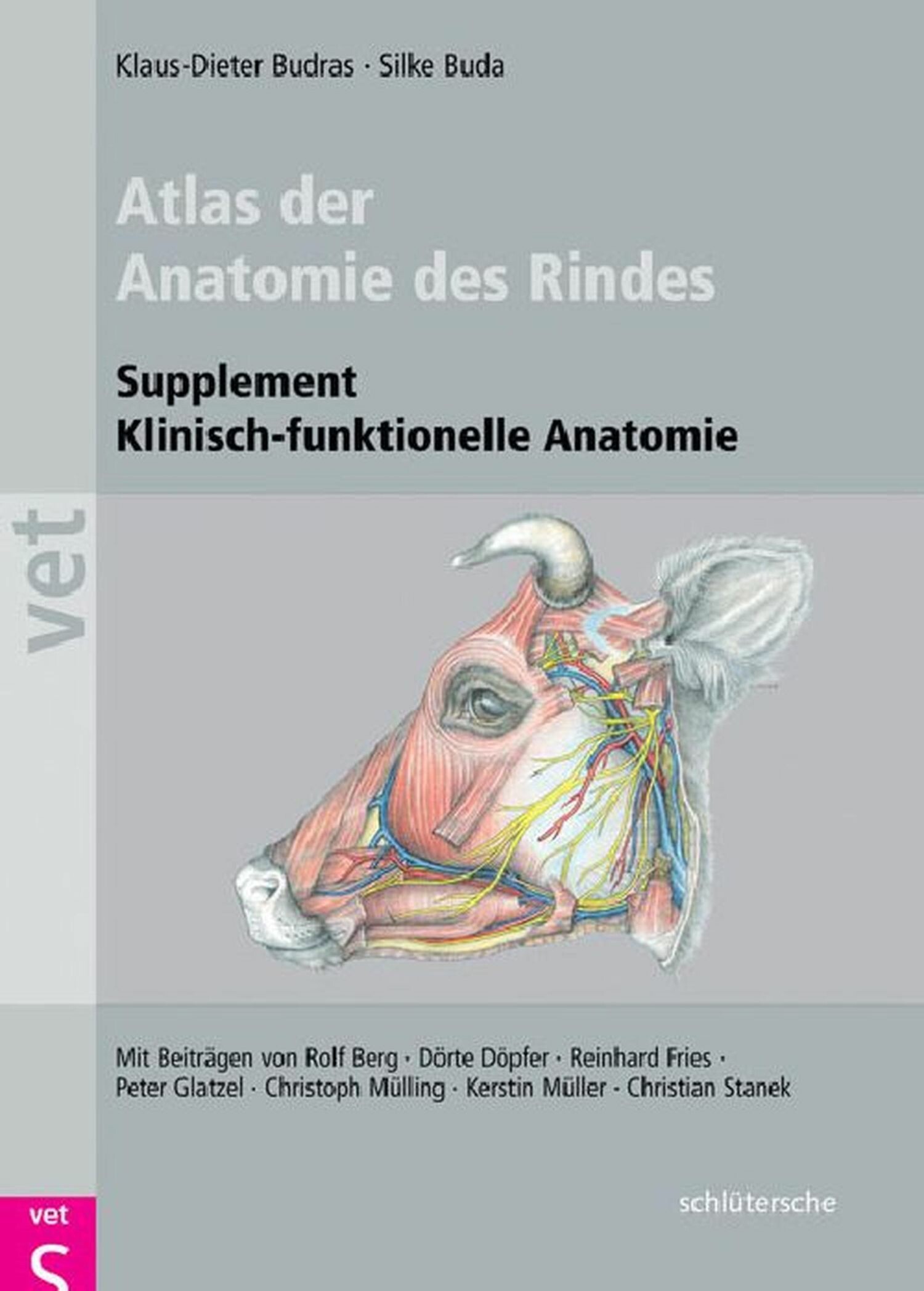 Atlas der Anatomie des Rindes