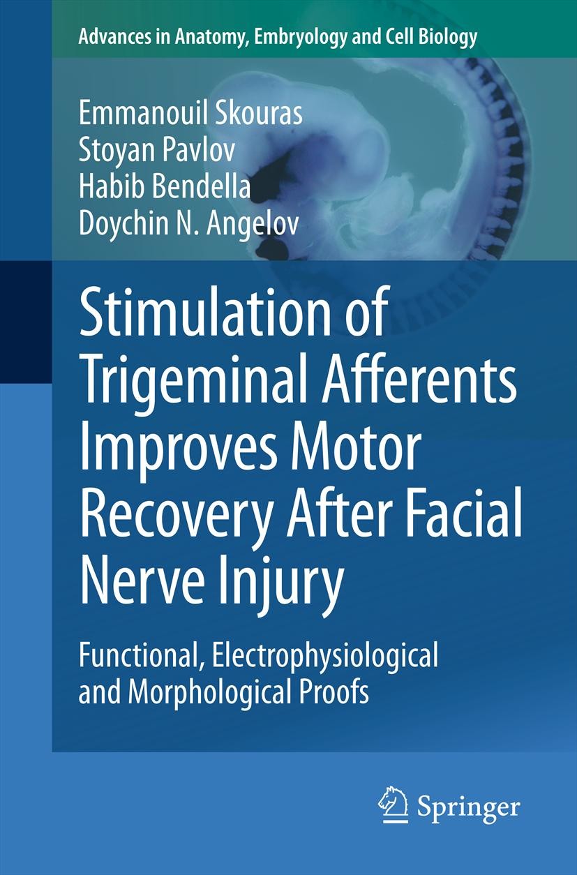 Cover Stimulation of Trigeminal Afferents Improves Motor Recovery After Facial Nerve Injury