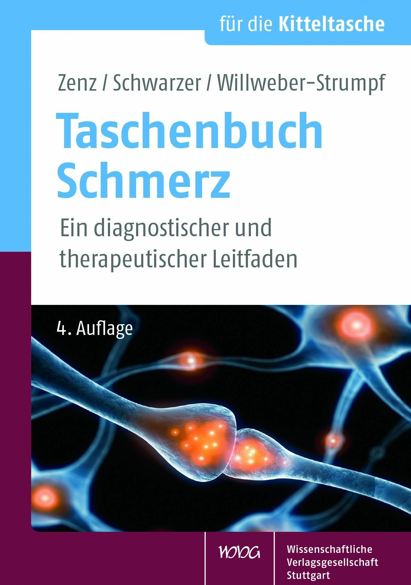 Cover Taschenbuch Schmerz