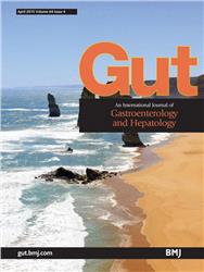 Cover GUT
