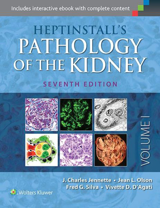 Heptinstall's Pathology of the Kidney  (2 Volumes)