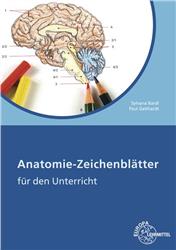 Cover Anatomie-Zeichenblätter für den Unterricht