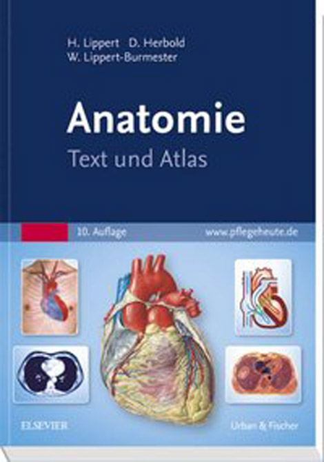 Anatomie