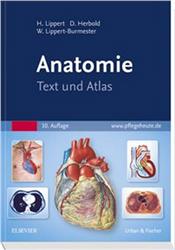 Cover Anatomie