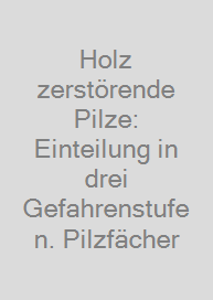Cover Holz zerstörende Pilze: Einteilung in drei Gefahrenstufen. Pilzfächer