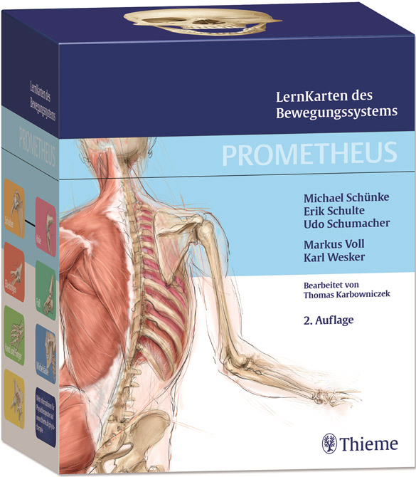 Prometheus - LernKarten des Bewegungssystems