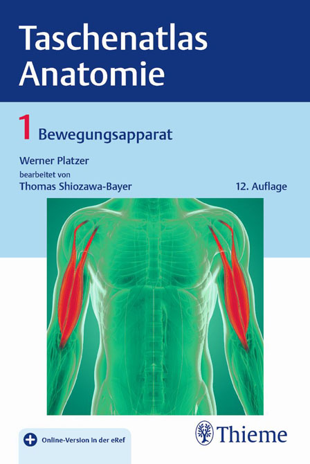 Taschenatlas der Anatomie: Bd. 1. Bewegungsapparat