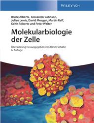Cover Molekularbiologie der Zelle