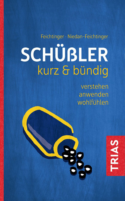 Schüßler - kurz & bündig