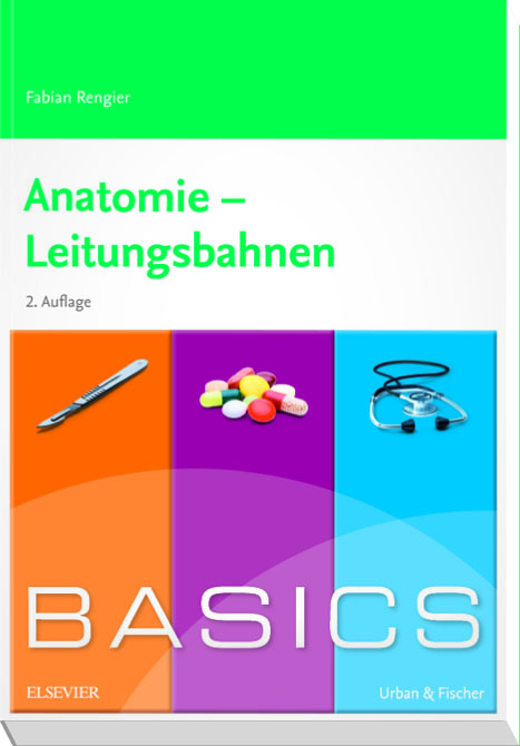 BASICS Anatomie - Leitungsbahnen