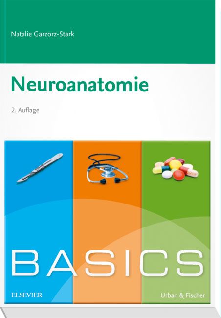 Basics Neuroanatomie