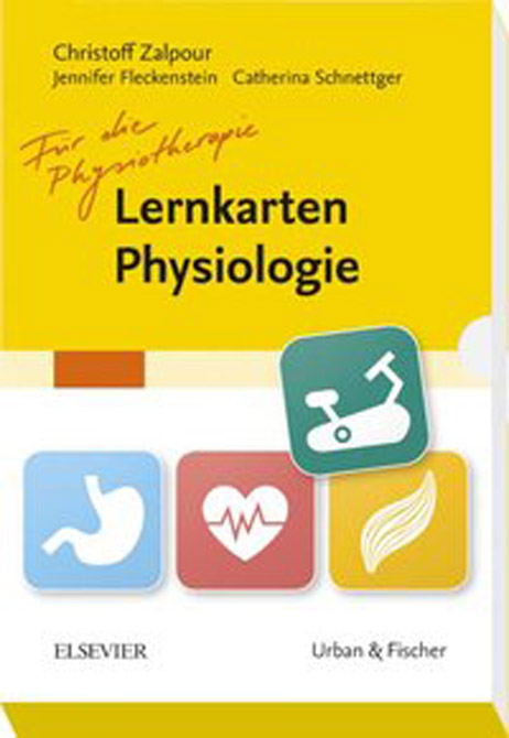 Lernkarten Physiologie für die Physiotherapie