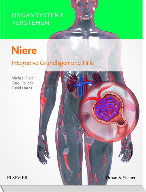 Organsysteme verstehen - Niere