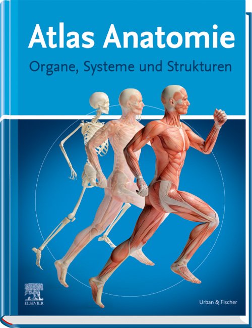 Atlas Anatomie für Laien