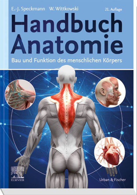 Handbuch Anatomie