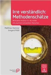 Cover Irre Verständlich: Methodenschätze