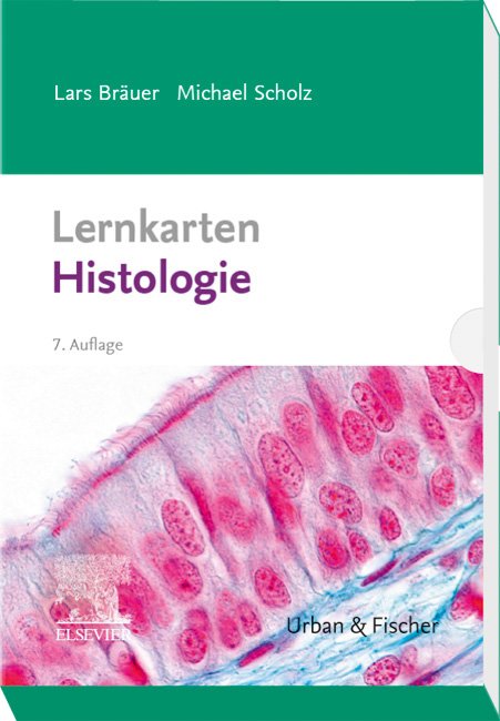 Lernkarten Histologie