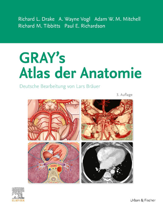 Grays Atlas der Anatomie