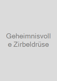 Cover Geheimnisvolle Zirbeldrüse