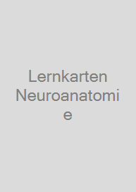 Lernkarten Neuroanatomie