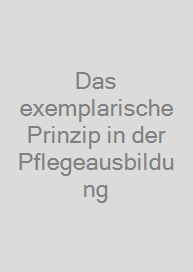 Das exemplarische Prinzip in der Pflegeausbildung