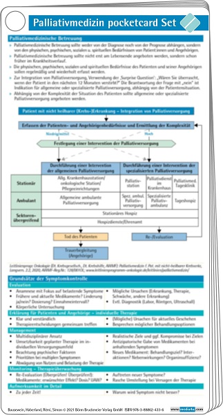 Palliativmedizin pocketcard Set