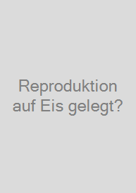 Cover Reproduktion auf Eis gelegt?