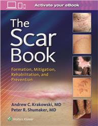 Cover The Scar Book