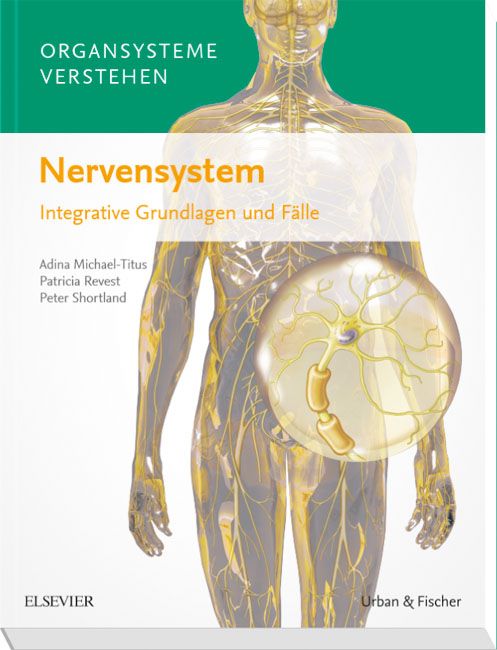 Organsysteme verstehen - Nervensystem