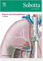 Cover Organe und Leitungsbahnen - Sobotta Lernkarten