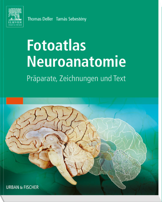 Fotoatlas Neuroanatomie