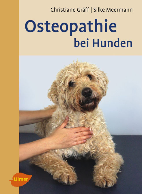Osteopathie beim Hund