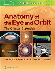 Cover Anatomy of the Eye and Orbit