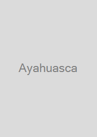 Ayahuasca