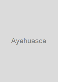 Cover Ayahuasca